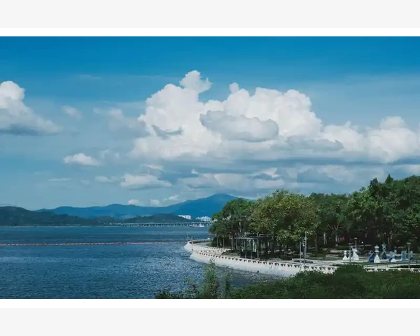 减肥须知：这些水果蔬菜能瘦身又健康