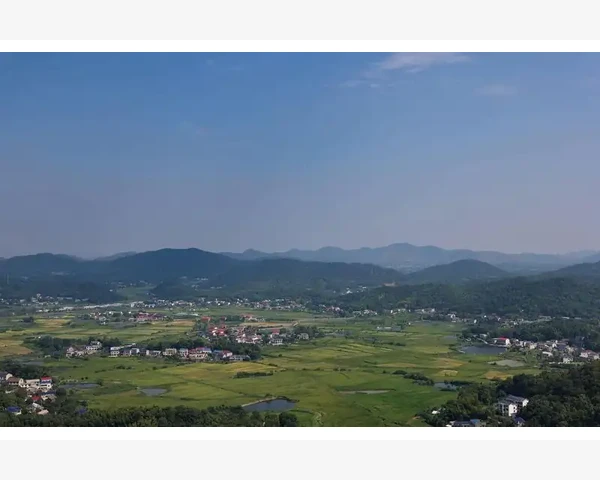 中医看病为何偏爱脾胃？解析调理之道